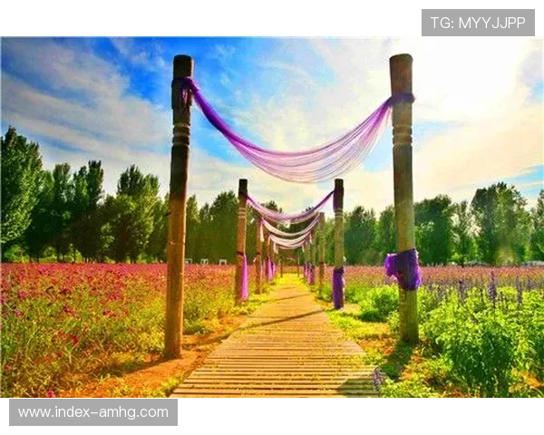 皇冠怎么开户详细流程指南帮助新手快速注册并顺利开始游戏体验